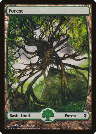 Forest (249) - Full Art [Zendikar] | Enigma On Main