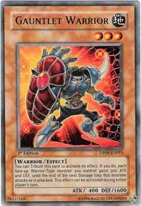 Gauntlet Warrior [Duelist Pack 9: Yusei 2] [DP09-EN013] | Enigma On Main