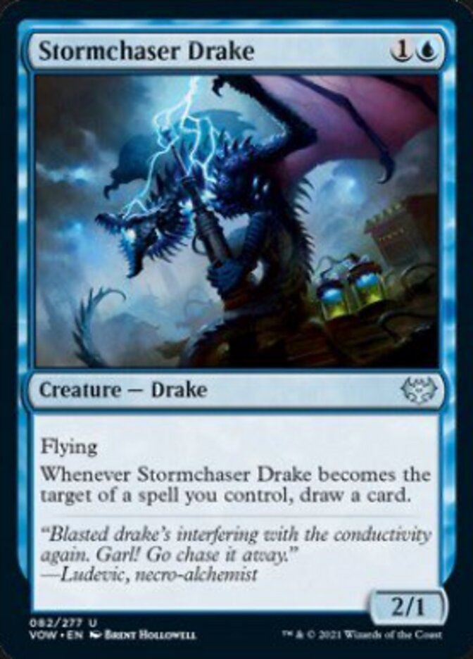 Stormchaser Drake [Innistrad: Crimson Vow] | Enigma On Main