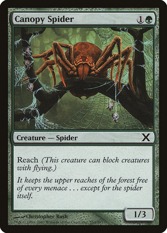 Canopy Spider [Tenth Edition] | Enigma On Main