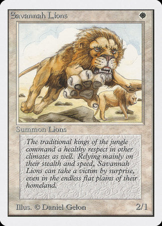 Savannah Lions [Unlimited Edition] | Enigma On Main