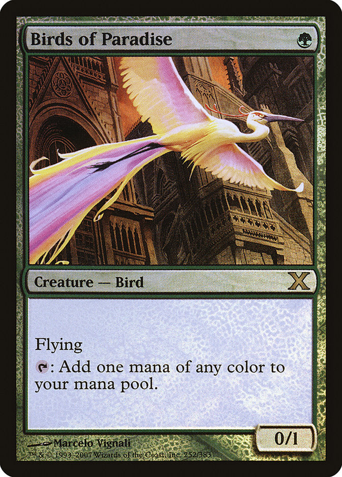 Birds of Paradise (Premium Foil) [Tenth Edition] | Enigma On Main