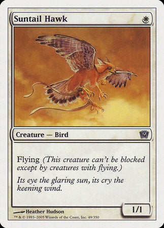 Suntail Hawk [Ninth Edition] | Enigma On Main