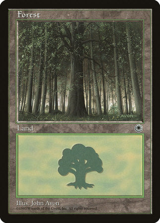 Forest (Large Middle) [Portal] | Enigma On Main