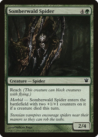 Somberwald Spider [Innistrad] | Enigma On Main