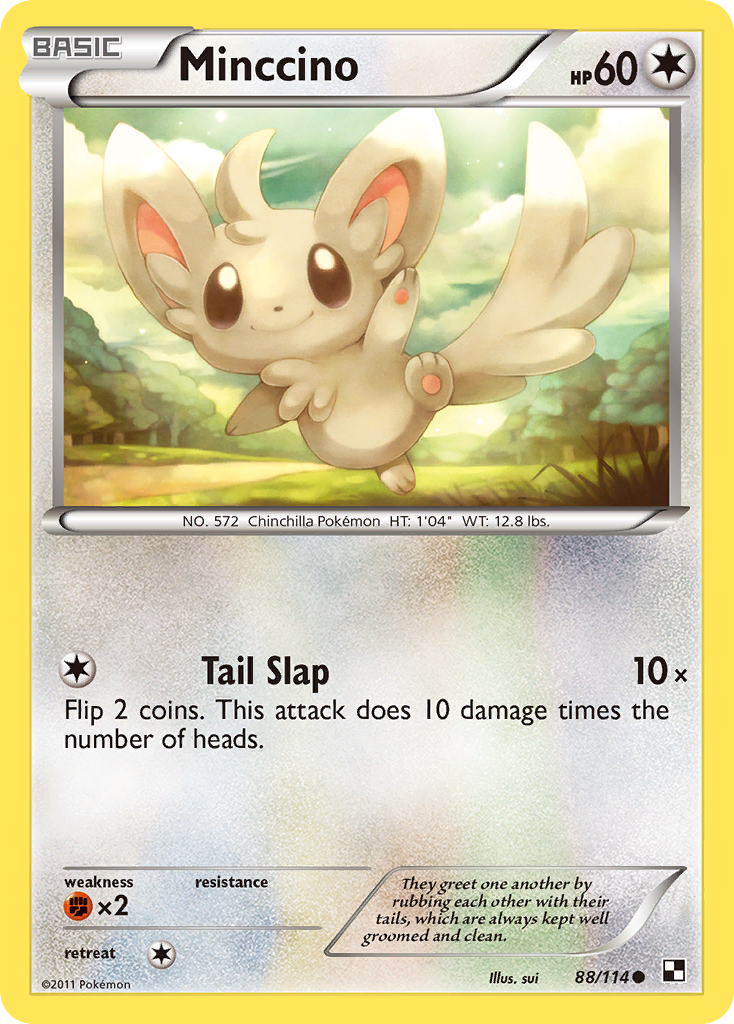 Minccino (88/114) [Black & White: Base Set] | Enigma On Main