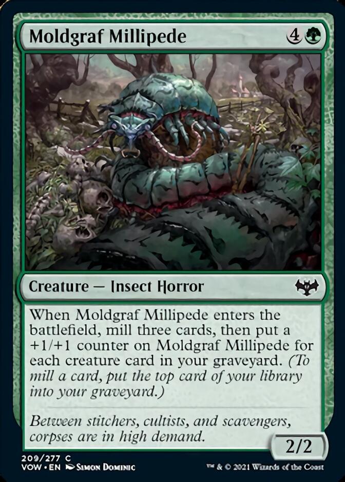 Moldgraf Millipede [Innistrad: Crimson Vow] | Enigma On Main