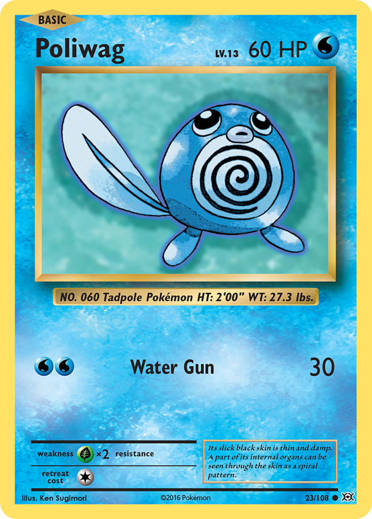 Poliwag (23/108) [XY: Evolutions] | Enigma On Main