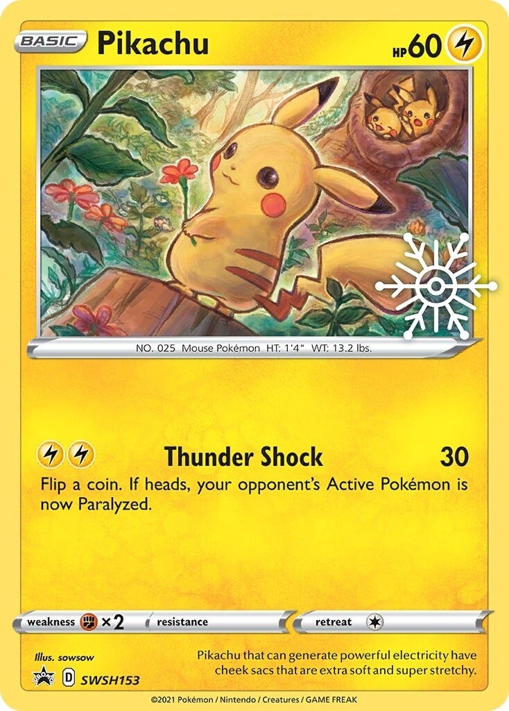 Pikachu (SWSH153) (Holiday Calendar) [Sword & Shield: Black Star Promos] | Enigma On Main