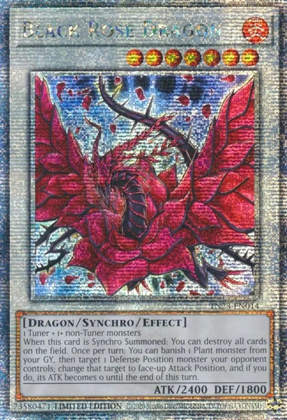 Black Rose Dragon [TN23-EN014] Quarter Century Secret Rare | Enigma On Main