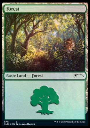 Forest (Cats) (576) [Secret Lair Drop Promos] | Enigma On Main