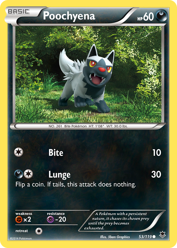 Poochyena (53/119) [XY: Phantom Forces] | Enigma On Main