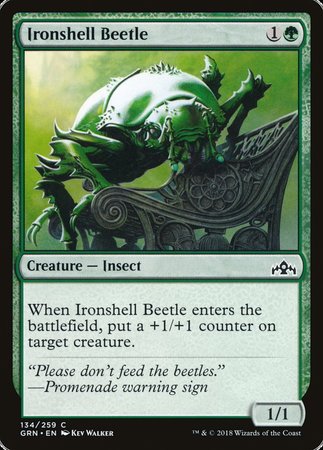 Ironshell Beetle [Guilds of Ravnica] | Enigma On Main