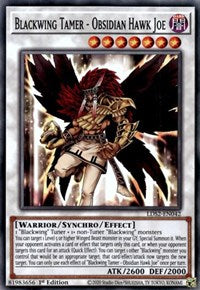 Blackwing Tamer - Obsidian Hawk Joe [LDS2-EN042] Common | Enigma On Main