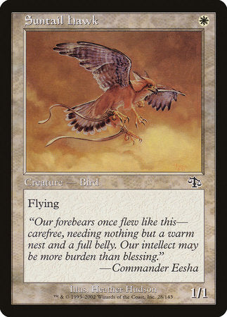 Suntail Hawk [Judgment] | Enigma On Main