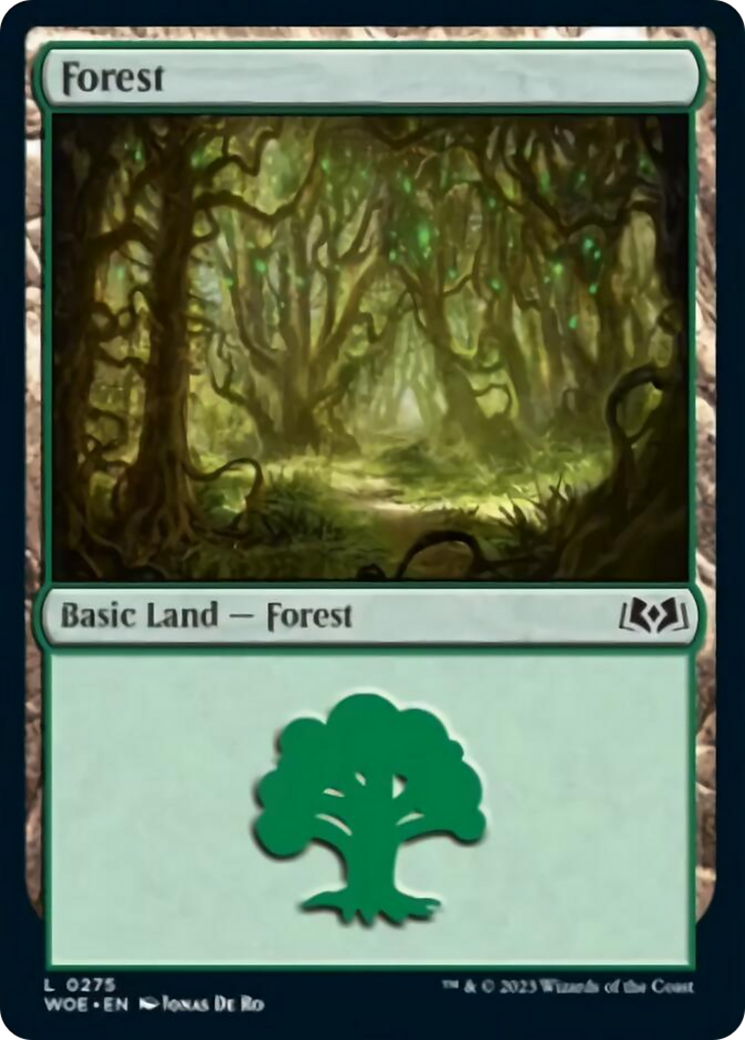 Forest (0275) [Wilds of Eldraine] | Enigma On Main