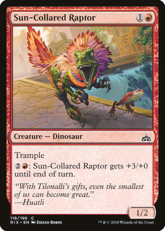 Sun-Collared Raptor [Rivals of Ixalan] | Enigma On Main