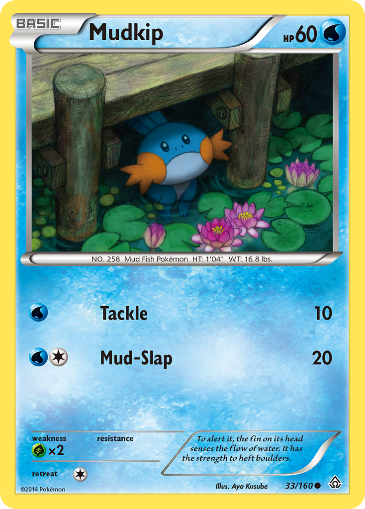 Mudkip (33/160) [XY: Primal Clash] | Enigma On Main