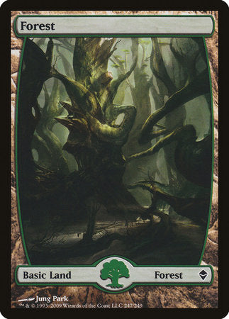 Forest (247) - Full Art [Zendikar] | Enigma On Main