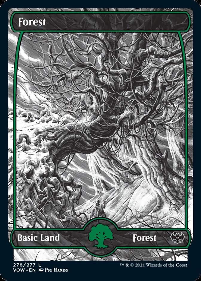 Forest (276) [Innistrad: Crimson Vow] | Enigma On Main