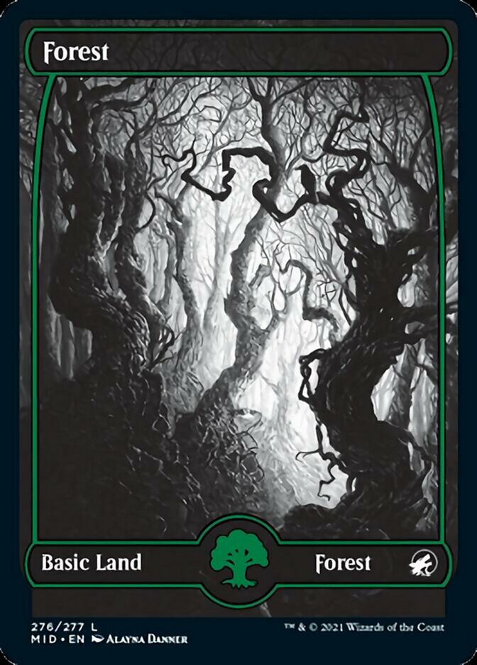 Forest (276) [Innistrad: Midnight Hunt] | Enigma On Main