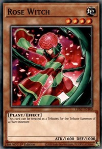Rose Witch [LDS2-EN100] Common | Enigma On Main
