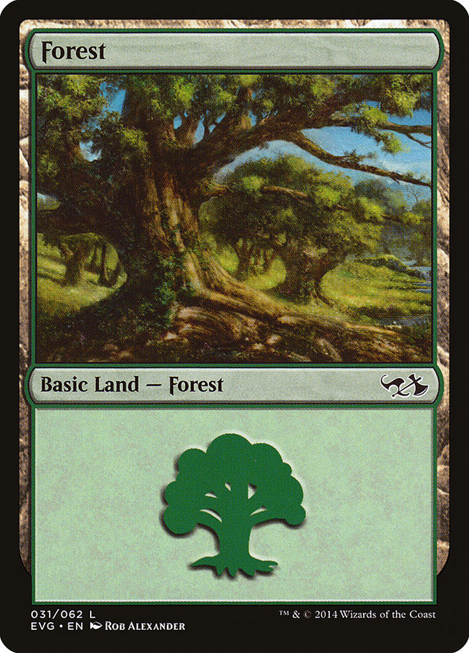 Forest (31) (Elves vs. Goblins) [Duel Decks Anthology] | Enigma On Main