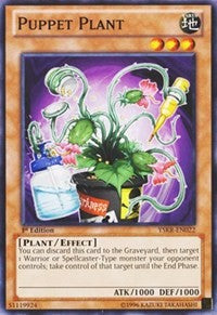 Puppet Plant [Starter Deck: Kaiba Reloaded] [YSKR-EN022] | Enigma On Main