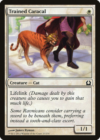 Trained Caracal [Return to Ravnica] | Enigma On Main