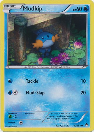 Mudkip (33/160) (Sheen Holo) [XY: Primal Clash] | Enigma On Main
