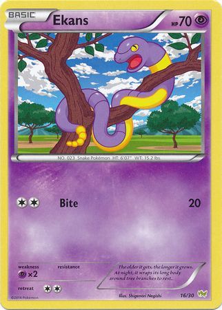 Ekans (16/30) [XY: Trainer Kit - Noivern] | Enigma On Main