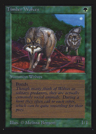 Timber Wolves (IE) [Intl. Collectors’ Edition] | Enigma On Main