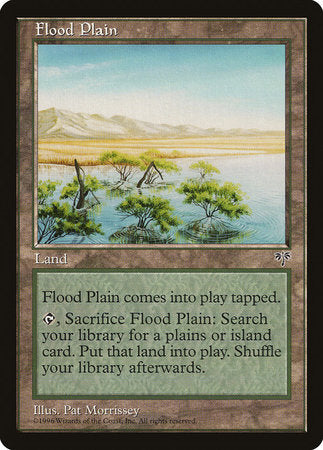Flood Plain [Mirage] | Enigma On Main