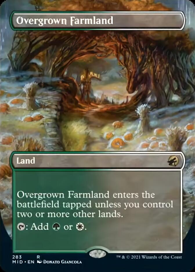 Overgrown Farmland (Borderless) [Innistrad: Midnight Hunt] | Enigma On Main