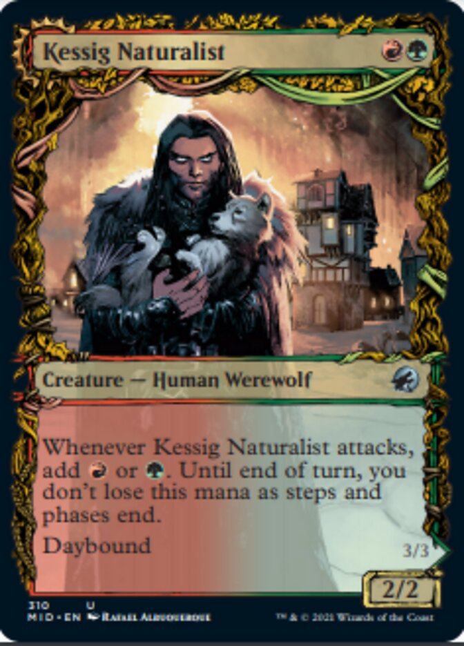 Kessig Naturalist // Lord of the Ulvenwald (Showcase Equinox) [Innistrad: Midnight Hunt] | Enigma On Main