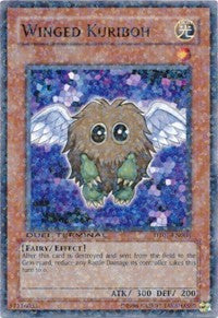 Winged Kuriboh [Duel Terminal 1] [DT01-EN008] | Enigma On Main