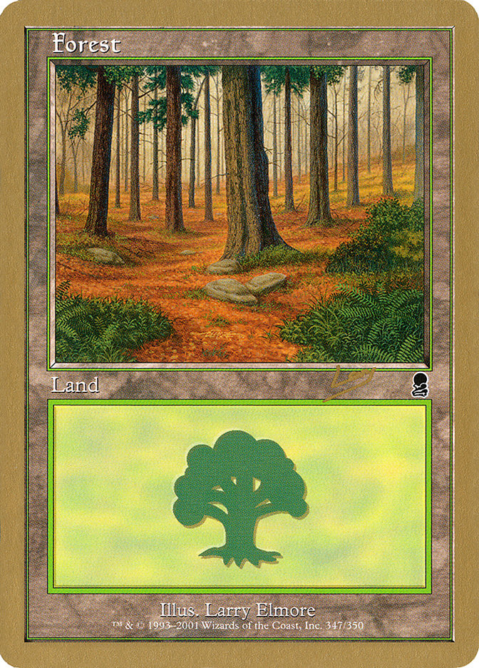 Forest (rl347) (Raphael Levy) [World Championship Decks 2002] | Enigma On Main