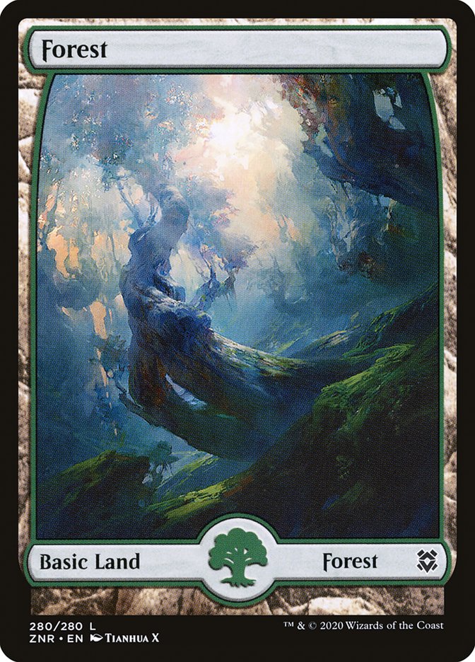 Forest (280) [Zendikar Rising] | Enigma On Main