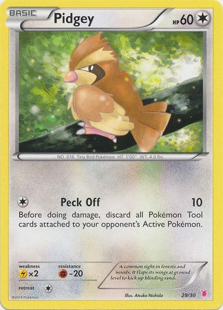 Pidgey (29/30) [XY: Trainer Kit 1 - Wigglytuff] | Enigma On Main