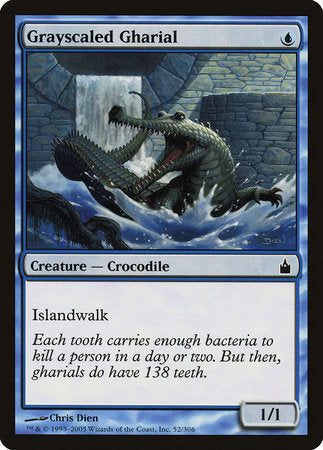 Grayscaled Gharial [Ravnica: City of Guilds] | Enigma On Main