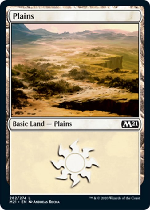 Plains (262) [Core Set 2021] | Enigma On Main