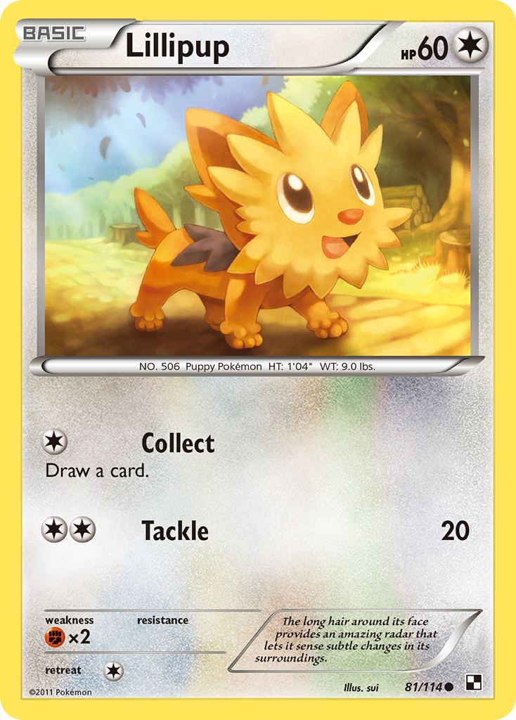 Lillipup (81/114) [Black & White: Base Set] | Enigma On Main