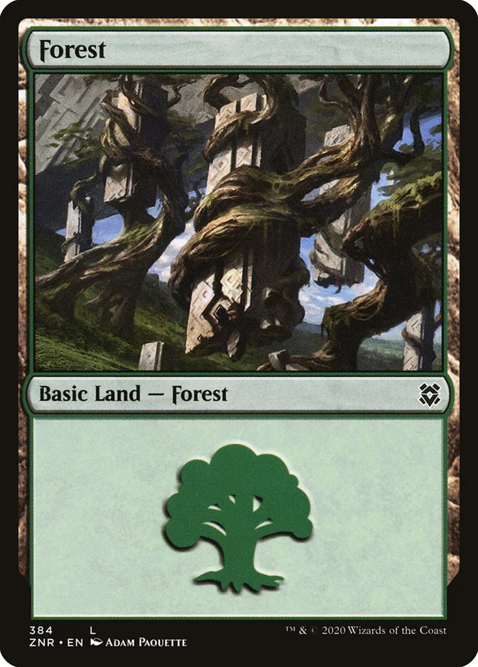 Forest (384) [Zendikar Rising] | Enigma On Main