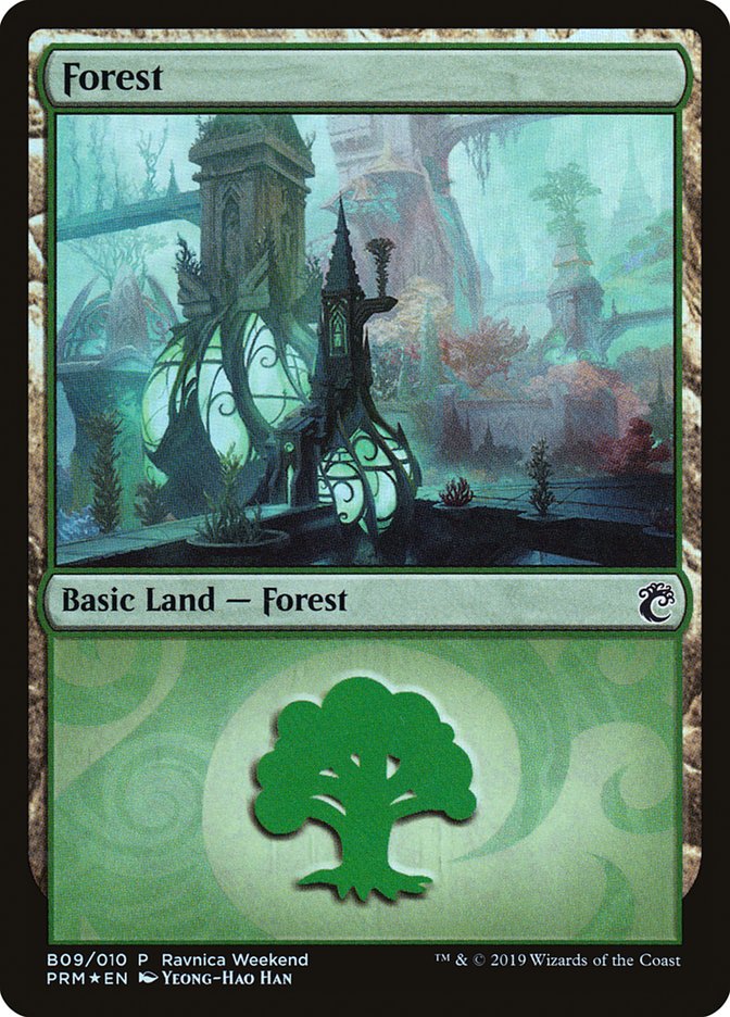 Forest (B09) [Ravnica Allegiance Guild Kit] | Enigma On Main