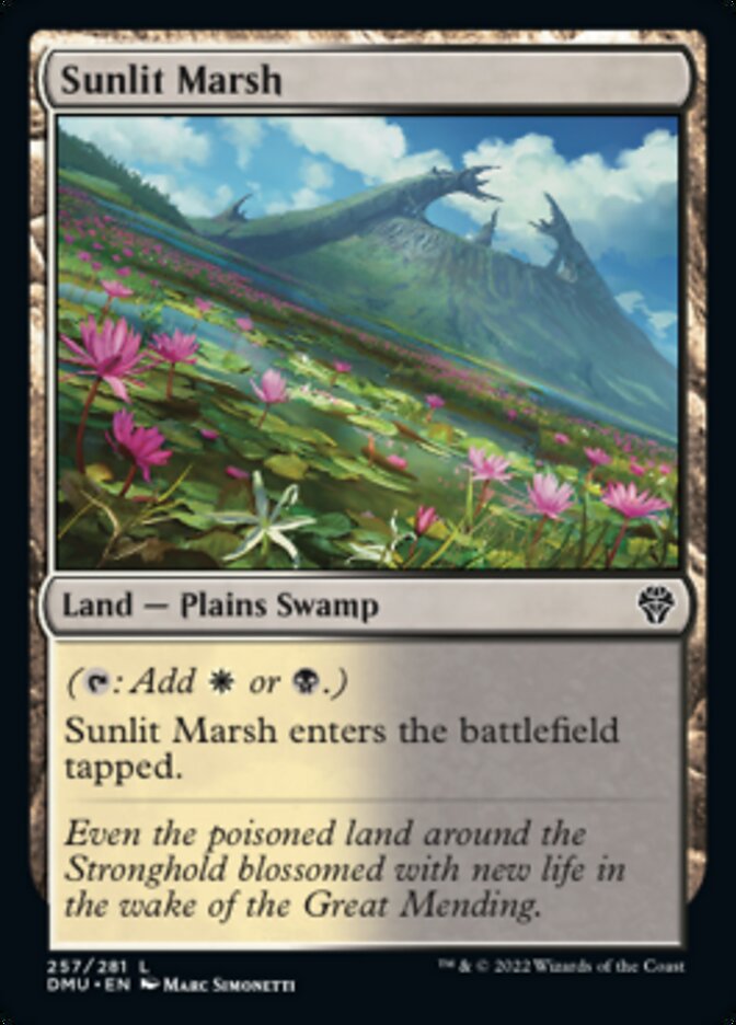 Sunlit Marsh [Dominaria United] | Enigma On Main