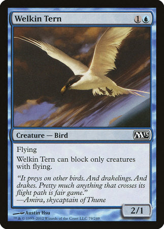 Welkin Tern [Magic 2013] | Enigma On Main