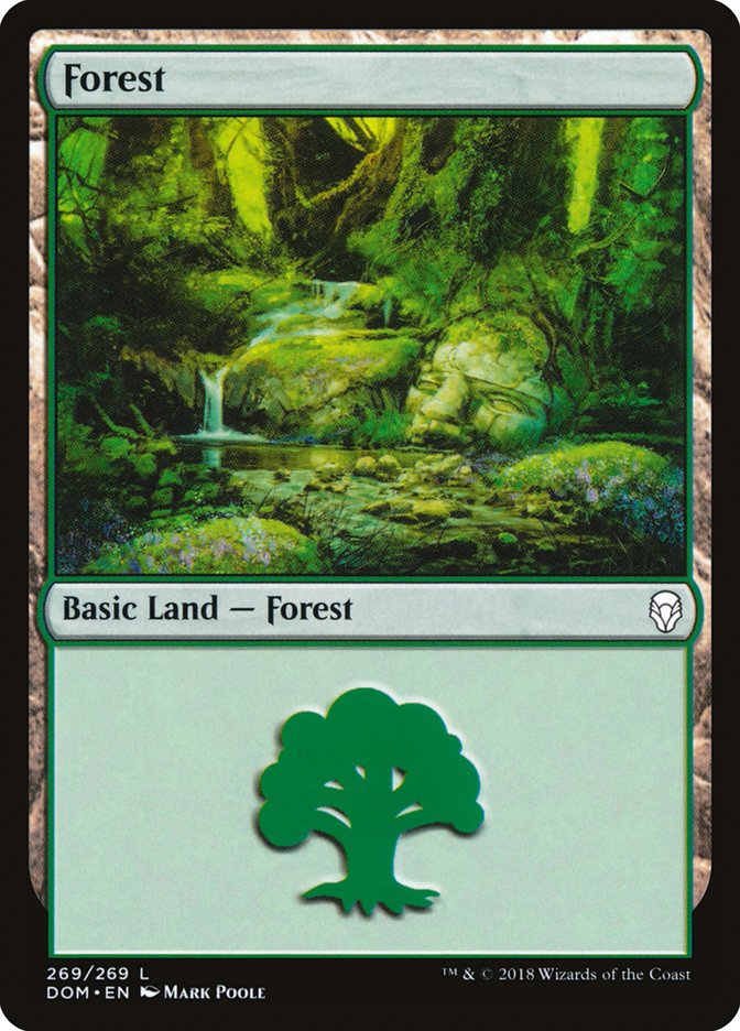 Forest (269) [Dominaria] | Enigma On Main