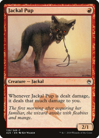 Jackal Pup [Masters 25] | Enigma On Main
