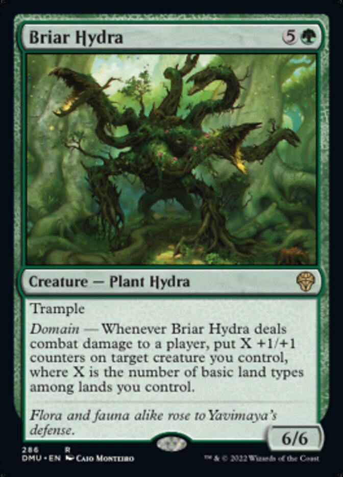 Briar Hydra [Dominaria United] | Enigma On Main