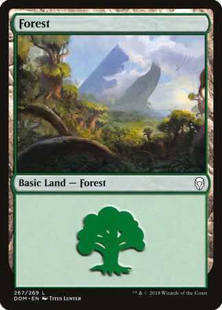 Forest (267) [Dominaria] | Enigma On Main